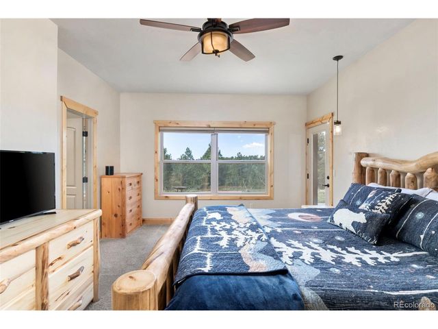 252 Running Elk Pt, Divide, CO 80814