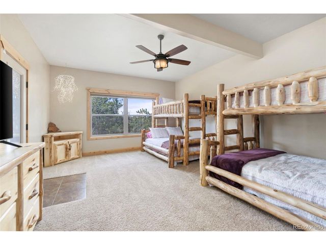 252 Running Elk Pt, Divide, CO 80814