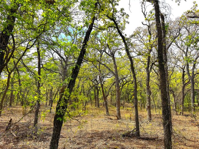 17101B Fm-920, Poolville, TX 76487