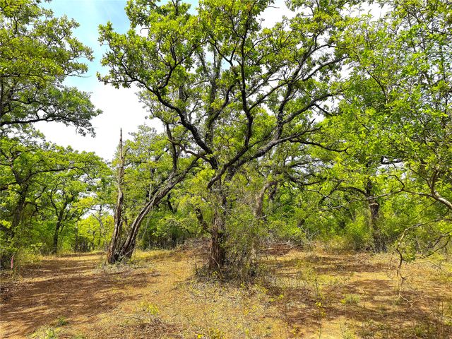 17101B Fm-920, Poolville, TX 76487