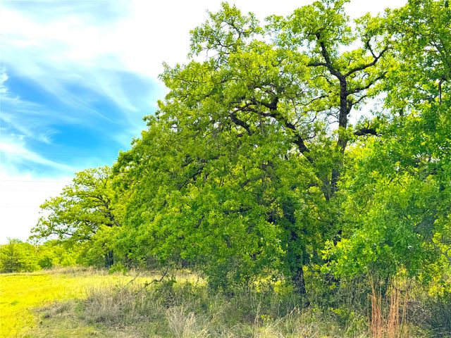 17101B Fm-920, Poolville, TX 76487