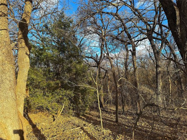 17101B Fm-920, Poolville, TX 76487