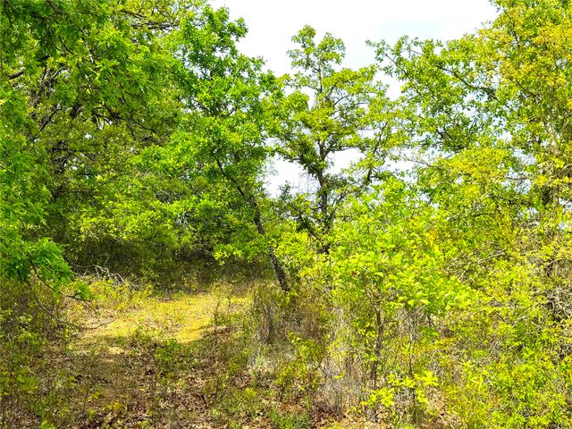 17101B Fm-920, Poolville, TX 76487