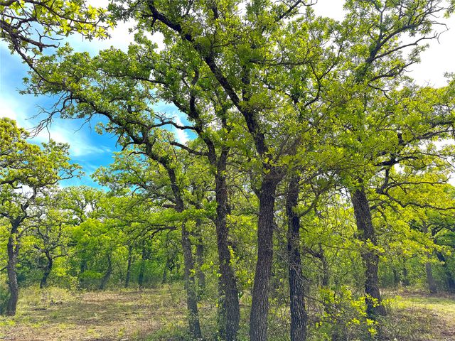 17101B Fm-920, Poolville, TX 76487