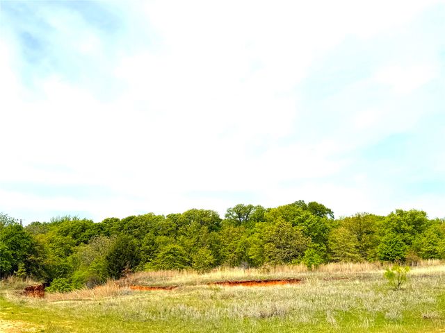 17101B Fm-920, Poolville, TX 76487