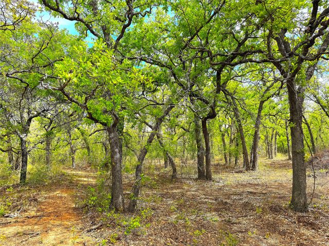 17101B Fm-920, Poolville, TX 76487