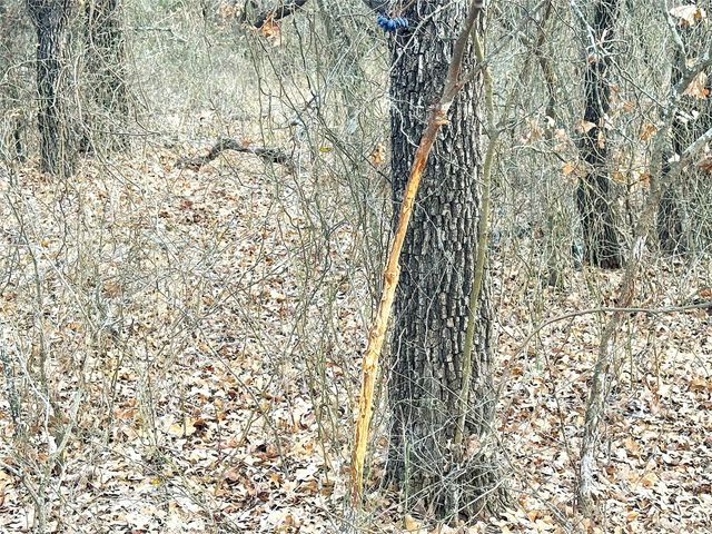 17101B Fm-920, Poolville, TX 76487