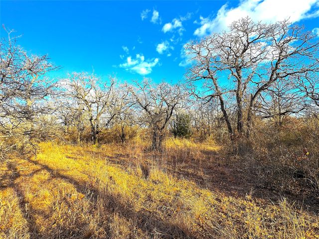 17101B Fm-920, Poolville, TX 76487