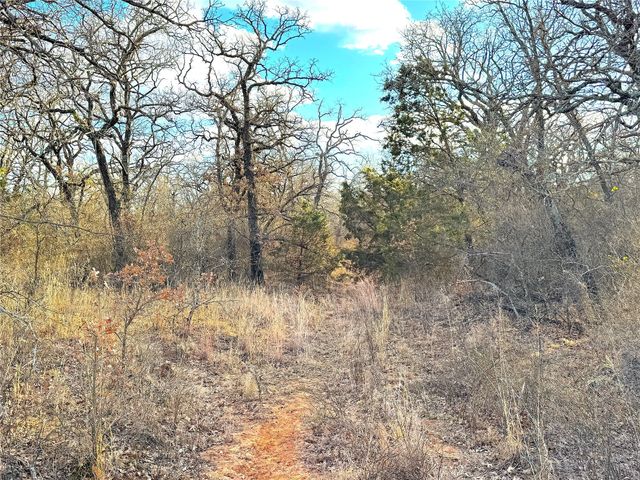 17101B Fm-920, Poolville, TX 76487