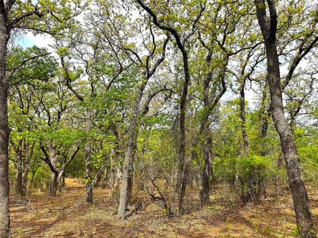 17101B Fm-920, Poolville, TX 76487