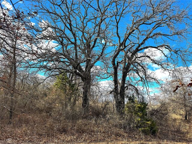 17101B Fm-920, Poolville, TX 76487