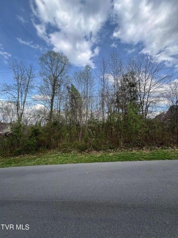 354 Glasgow Lane, Blountville, TN 37617