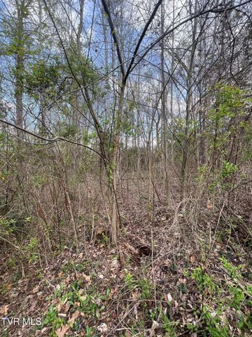 354 Glasgow Lane, Blountville, TN 37617