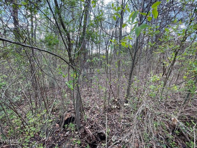 354 Glasgow Lane, Blountville, TN 37617