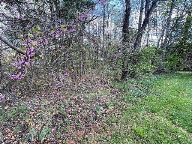 354 Glasgow Lane, Blountville, TN 37617