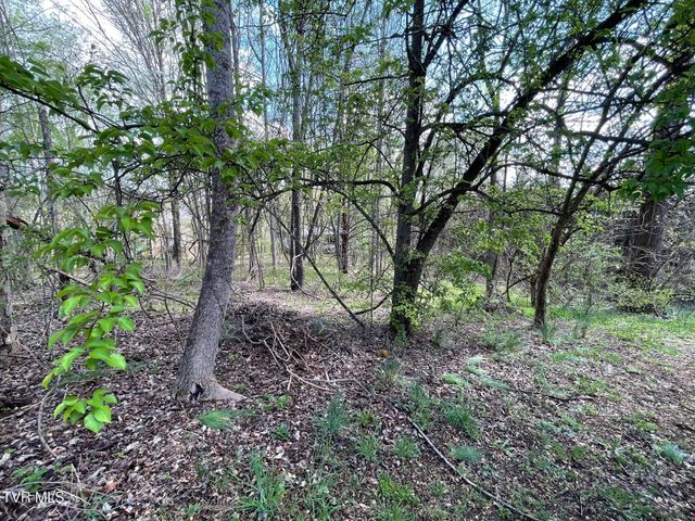 354 Glasgow Lane, Blountville, TN 37617