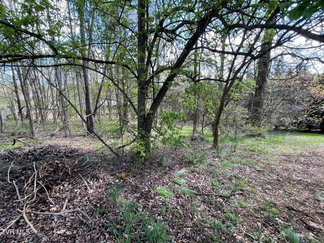 354 Glasgow Lane, Blountville, TN 37617