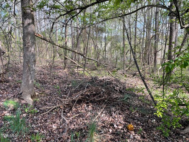 354 Glasgow Lane, Blountville, TN 37617