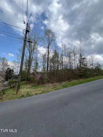 354 Glasgow Lane, Blountville, TN 37617