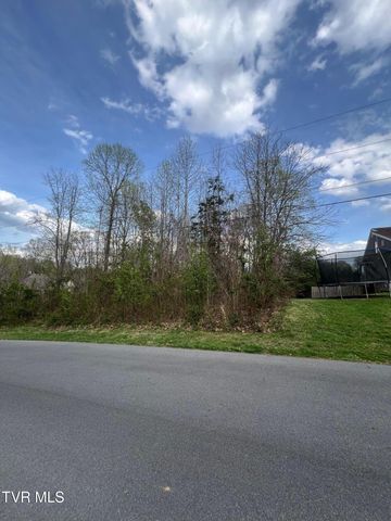 354 Glasgow Lane, Blountville, TN 37617
