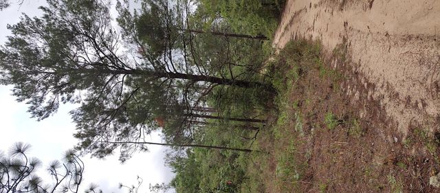 xxx Kevin Court, Defuniak Springs, FL 32433