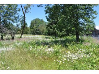 Jeans Rd, Veneta, OR 97487