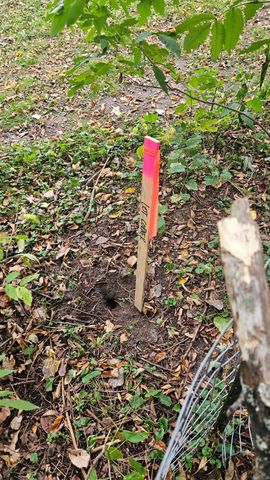 5920 Hodgson Road, Shoreview, MN 55126