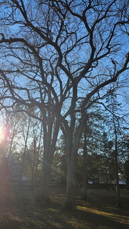 5920 Hodgson Road, Shoreview, MN 55126