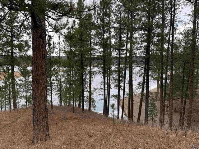 12776 BLACK FOREST RD, Rapid City, SD 57702