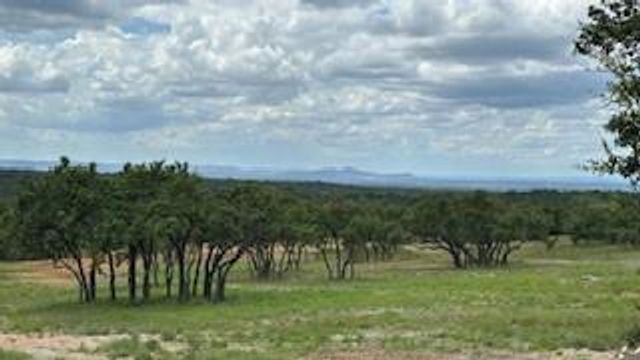 2078 W Ranch Road 962 LOT 10 RD, Round Mountain, TX 78663