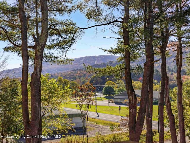 7 Karlstadt Road, Windham, NY 12496