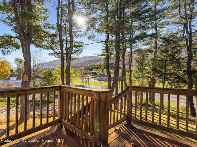 7 Karlstadt Road, Windham, NY 12496