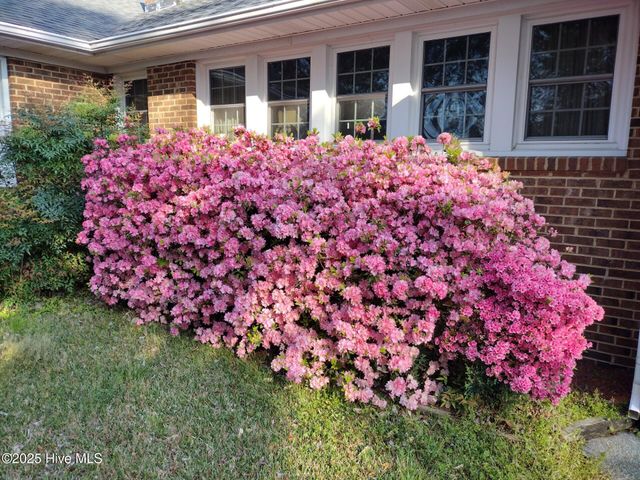 400 E 15th Street, Washington, NC 27889