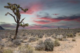 52552 Gamma Gulch, Pioneertown, CA 92284