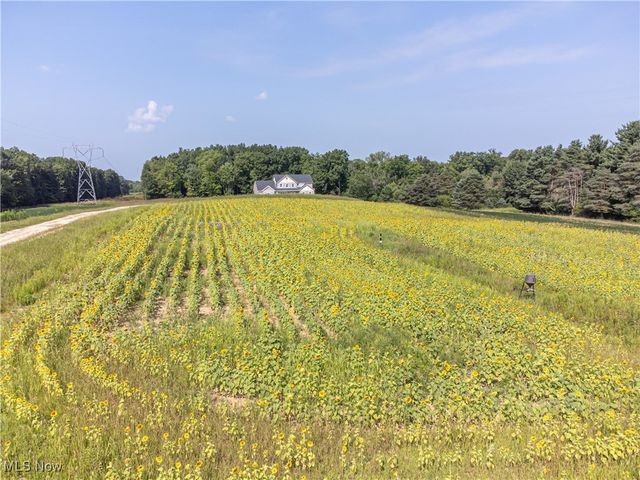 3676 Huffman Road, Medina, OH 44256