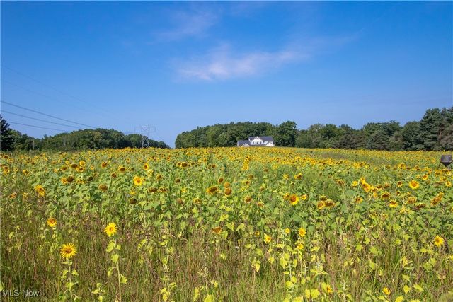 3676 Huffman Road, Medina, OH 44256