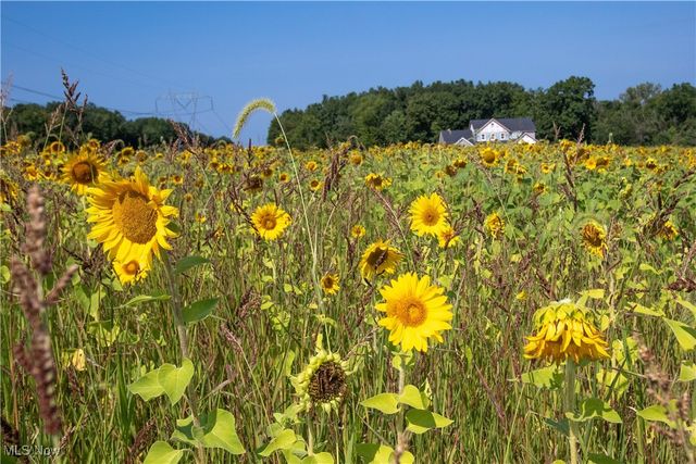 3676 Huffman Road, Medina, OH 44256