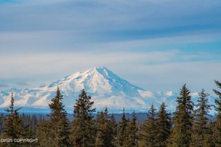67225 Endless View Loop, Homer, AK 99603