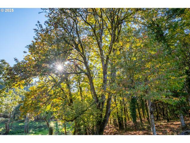 4204 RIVERDALE Rd S, Salem, OR 97302