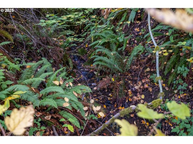 4204 RIVERDALE Rd S, Salem, OR 97302