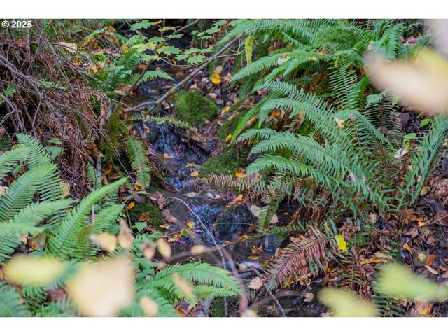 4204 RIVERDALE Rd S, Salem, OR 97302