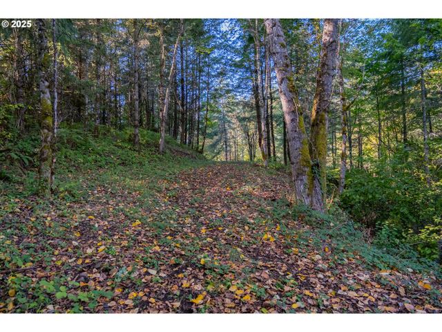 4204 RIVERDALE Rd S, Salem, OR 97302