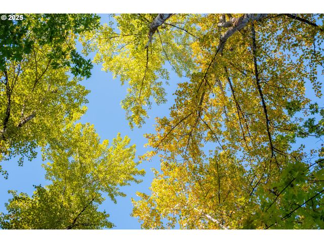 4204 RIVERDALE Rd S, Salem, OR 97302