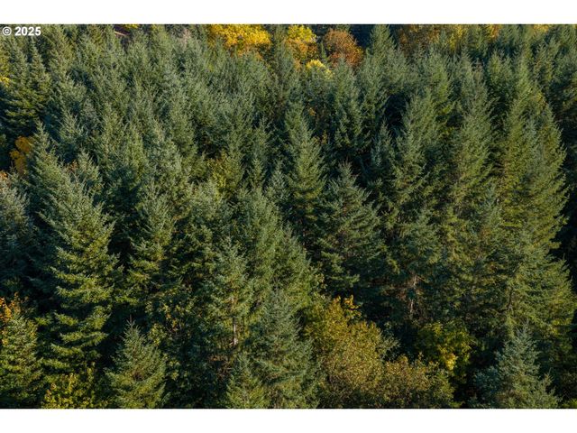 4204 RIVERDALE Rd S, Salem, OR 97302