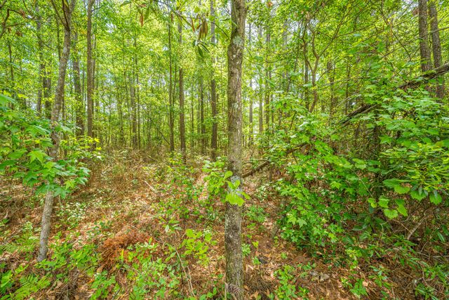 312 Breckingridge Drive, Ladson, SC 29456