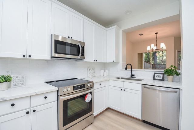 134 Magnolia Pond Place, The Woodlands, TX 77381