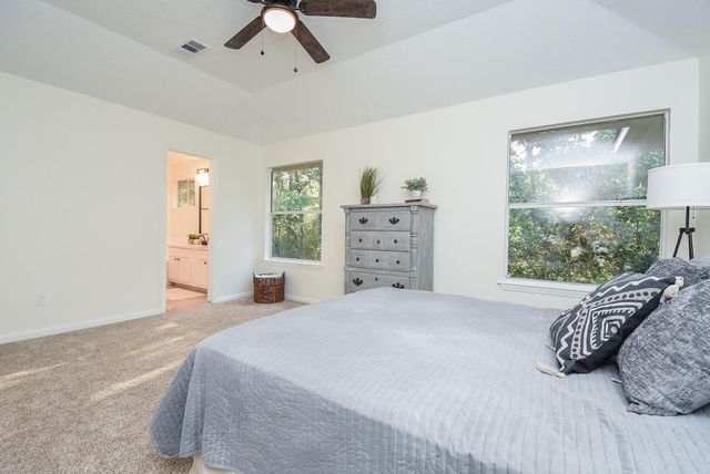 134 Magnolia Pond Place, The Woodlands, TX 77381