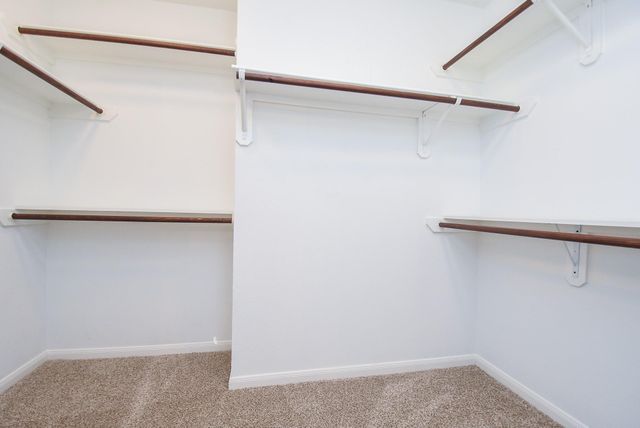 134 Magnolia Pond Place, The Woodlands, TX 77381