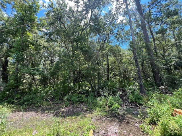 Lots 10-14 Franklin Drive, Crawfordville, FL 32327