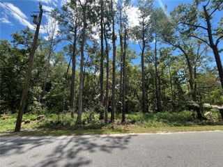 Lots 10-14 Franklin Drive, Crawfordville, FL 32327